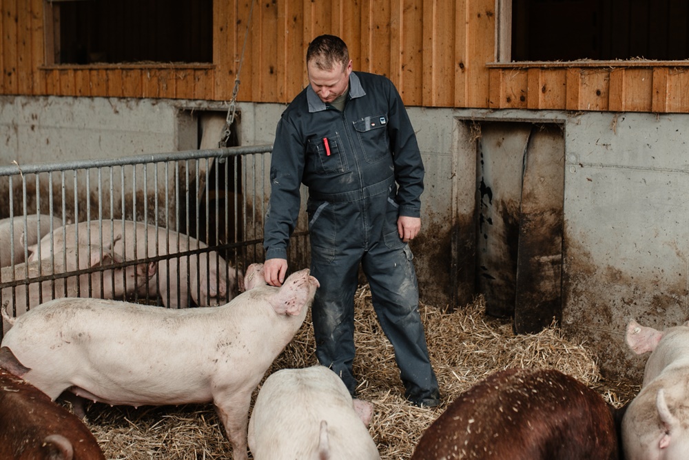 Burgschattenhof David Pichler aus Hartkirchen im Bezirk Eferding in Oberösterreich